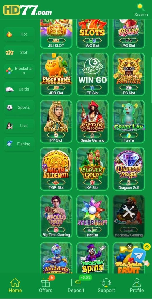 HD77 Game