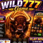 wild777 game